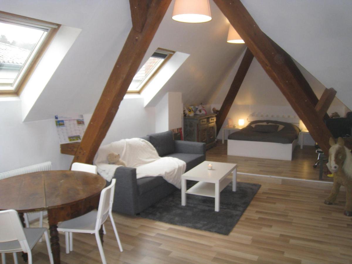 Chambres Privatives Chez L'Habitant Guebwiller Eksteriør bilde
